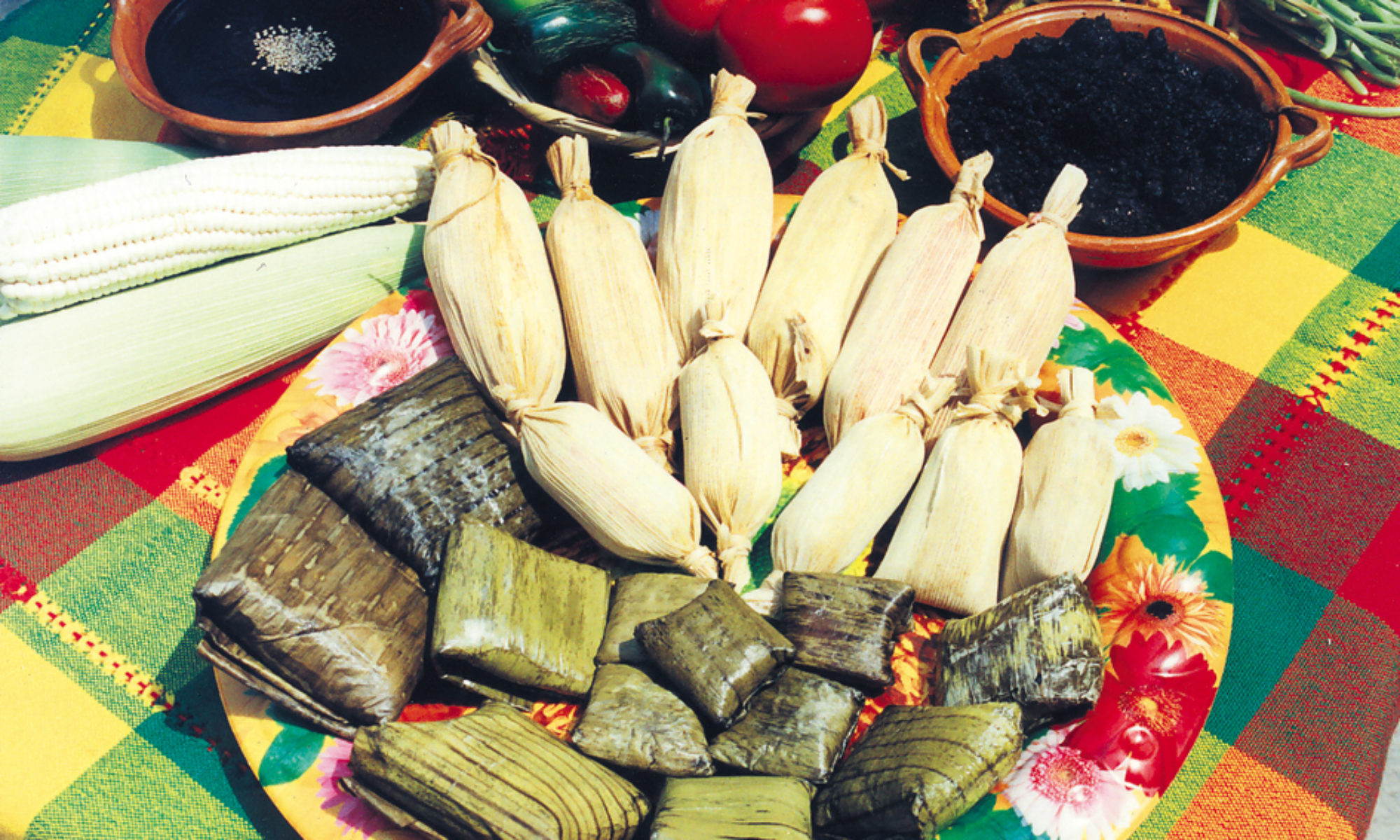 Tamales venta de mayoreo Tamales